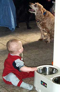 Tuffy looks to Auntie to save his drinking dish!